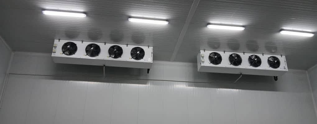 Évaporateurs dans une chambre froide de 5 000 m³