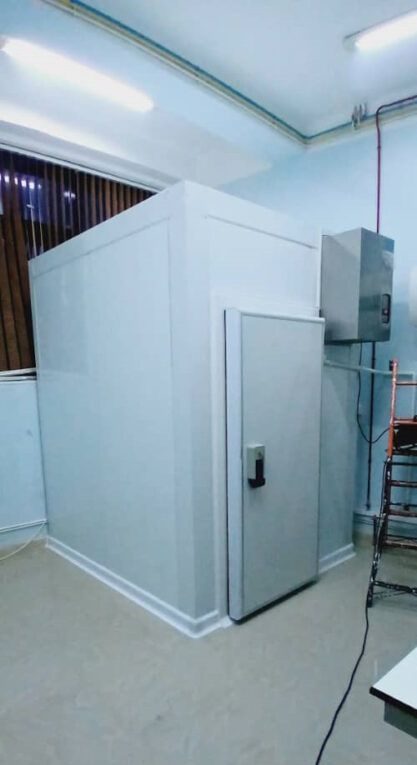 Mini chambre froide de laboratoire avec son armoire de commande
